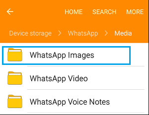 WhatsApp Speicherort auf Android