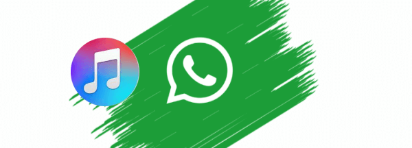 WhatsApp-Backup in iTunes erstellen
