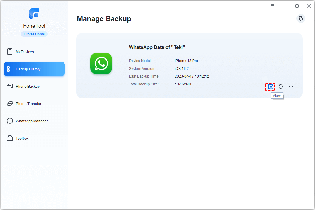 view WhatsApp backup
