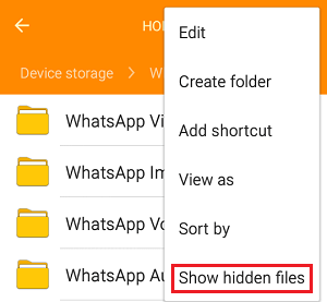 Android show hidden files