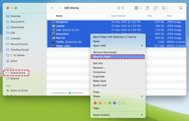 Delete Files from iCloud on Mac