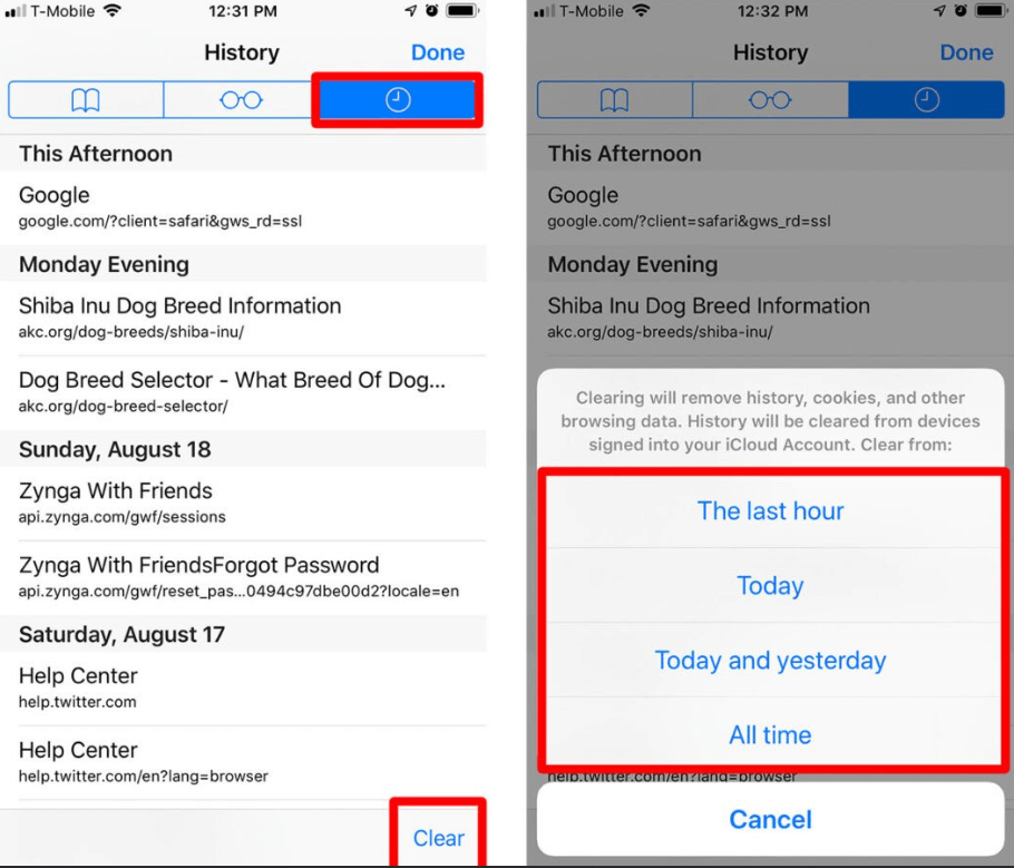 How To Delete Safari Search History On IPhone