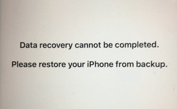 Data Recovery Cannot Be Completed Please Restore from Backup