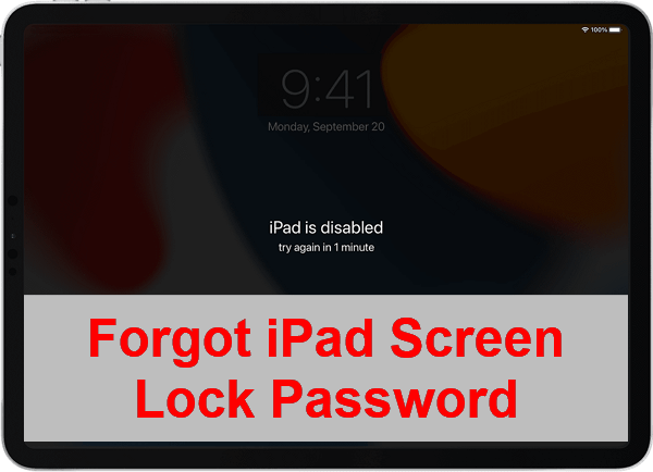 Forgot iPad Screen Lock Password