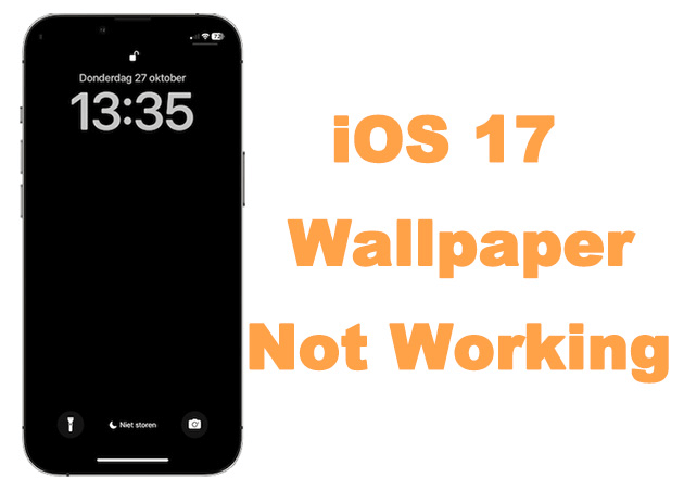 How to Make a Picture Fit As a Wallpaper on an iPhone