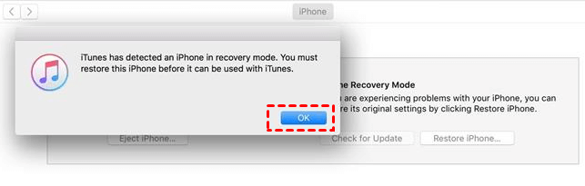 Click OK to Restore iPhone