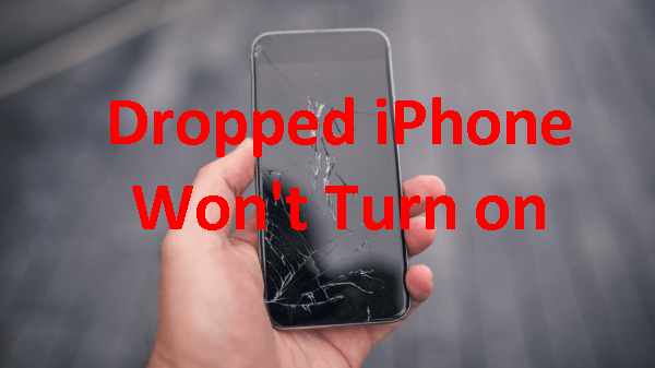 Dropped iPhone Won’t Turn on