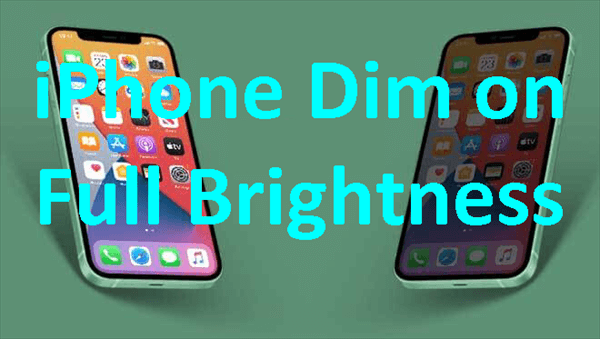 iPhone Dim on Full Brightness