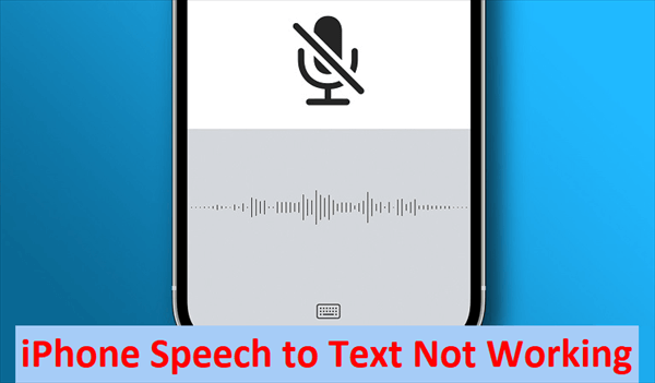 iPhone Speech to Text Not Working