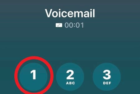 reset voicemail