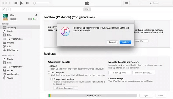 update iPadOS via iTunes