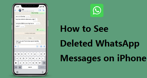 see deleted WhatsApp messages