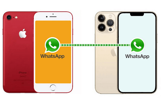 Перенос аккаунта WhatsApp на новый iPhone