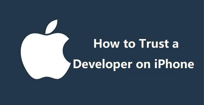 trust developer on iphone