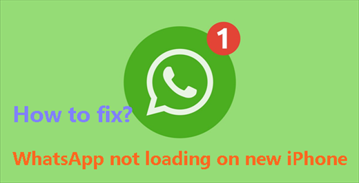 WhatsApp not loading on new iPhone