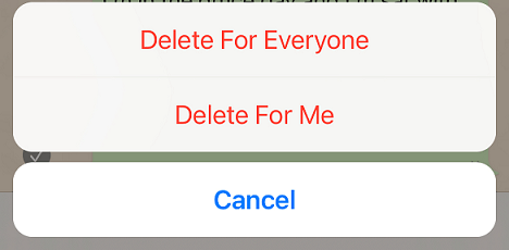 delete for everyone feature