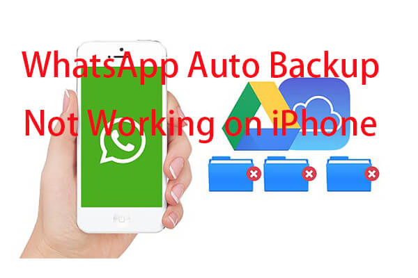 WhatsApp Auto Backup Not Working
