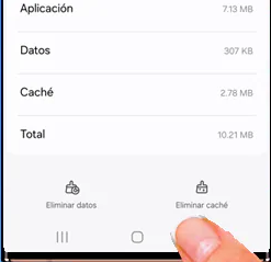 Toca Borrar caché y reinicia la aplicación