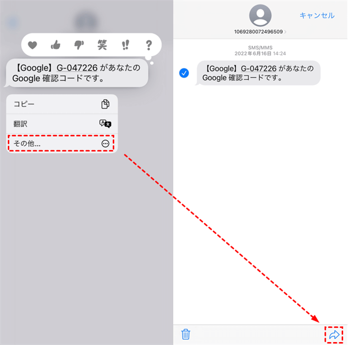 iMessage様ご確認用 FaceTime/iMessage で電話番号でのアクセス設定ができない : r