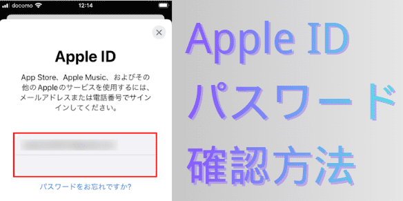 Apple Account（Apple ID）とパスワードの確認方法