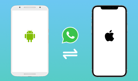 iphone transfer whatsapp to android